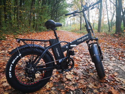 Benefits of 500w Ebike and Buying Guides