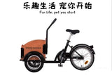 16 Inch/12Inch Children Tricycle / Hand-Push Pet Tricycle