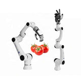 Brand New 6 DOF Hans Collaborative Robots And 5 Finger Robot Gripper Humanoid Robotic Hand With Mini Linear Servo Actuators