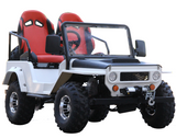 1200W Electric Quad ATV - Unleash Your Off-Road Adventure with this Powerful Mini All-Terrain Vehicle