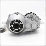 The elderly leisure car body rear axle differential motor BM1418HQF(BLDC) 650W 48V