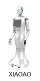 AI Intelligent Humanoid Business Welcome and Reception Robot