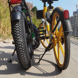 EU Stock Electric Bike Off Road Fat Tire 36V 250W Motor Foldable E Bike Mountain Snow Bicycle kids lady Adult Kids Powerful