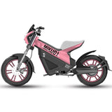 14inch Electric bicycle 48v20ah lithium ion battery 400w rear drive motor Travel Leisure Electric Assisted Two-Wheeled Bicycle