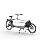 Two wheeled electric transport travel assist bicycle 36v 250w hub motor Cargo e-bike pedal bicycle for adult bike with cargo box