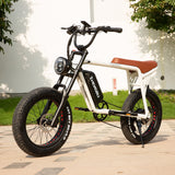 High Quality ZHENGBU S5 20 Inch 1000W 48V 10AH 15AH 20AH Ebike Mountain 20*4.0" Fat Tire Retro Vintage Electric Bike