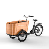 Cargo electric power-assisted bicycle inverted tricycle parent-child car pet pedal three wheel e-bike tricycle bicycle