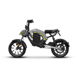 14inch city electric bike 400w rear drive high-speed motor front rear dual shock lithium battery pedal light cross-ride e-bike