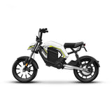 14inch city electric bike 400w rear drive high-speed motor front rear dual shock lithium battery pedal light cross-ride e-bike