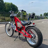 Electric Power Assisted Bicycle 20/24inch Wheel Electric Bicycle Pulling Bicycle