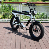YQEBIKES Stealth Bomber Bicycle Saddle Electric Bike Long Two Seat Universal Seat Post e Bike Dual Seat for Ebike 73 RX S1 S2