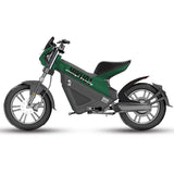 14inch Electric bicycle 48v20ah lithium ion battery 400w rear drive motor Travel Leisure Electric Assisted Two-Wheeled Bicycle