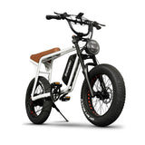 High Quality ZHENGBU S5 20 Inch 1000W 48V 10AH 15AH 20AH Ebike Mountain 20*4.0" Fat Tire Retro Vintage Electric Bike