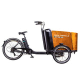 Cargo electric power-assisted bicycle inverted tricycle parent-child car pet pedal three wheel e-bike tricycle bicycle