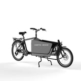 Two wheeled electric transport travel assist bicycle 36v 250w hub motor Cargo e-bike pedal bicycle for adult bike with cargo box