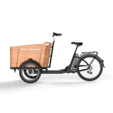 Cargo electric power-assisted bicycle inverted tricycle parent-child car pet pedal three wheel e-bike tricycle bicycle