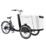 Cargo electric power-assisted bicycle inverted tricycle parent-child car pet pedal three wheel e-bike tricycle bicycle