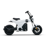 New Wholesale and Newly Designed Electric Motorcycles Electric Bicycles Sausages Dogs 48V 24AH 400W