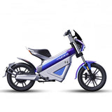 14inch Electric bicycle 48v20ah lithium ion battery 400w rear drive motor Travel Leisure Electric Assisted Two-Wheeled Bicycle