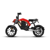 14inch city electric bike 400w rear drive high-speed motor front rear dual shock lithium battery pedal light cross-ride e-bike