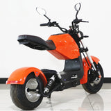 1500W 20Ah Urban Sports High Power Motorcycle Fashionable Adult Electric Motorcycle Assisted Electric Bicycle