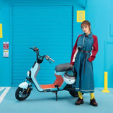 Ninebot C40 16Ah 48V Electric Vehicle 400W 25km/h Top Speed Multifunction Electric Bike From Xiaomi Youpin