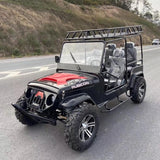 Made In China 4 Seats 3000W Electric Buggy Car