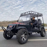 Made In China 4 Seats 3000W Electric Buggy Car