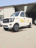 mini 2 seats electric pickup truck for sale