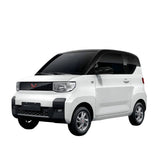 New 20kw 4seats  Max Speed 100km/h Electric Mini Car
