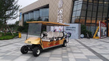 electric golf car sightseeing 8 seat