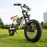 High Quality ZHENGBU S5 20 Inch 1000W 48V 10AH 15AH 20AH Ebike Mountain 20*4.0" Fat Tire Retro Vintage Electric Bike