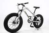 20 inch fat bike children kid fat tire mountain bike Beach cruiser bicycle high quality carbon steel disc brake big wheel MTB