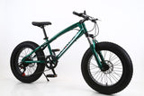 20 inch fat bike children kid fat tire mountain bike Beach cruiser bicycle high quality carbon steel disc brake big wheel MTB