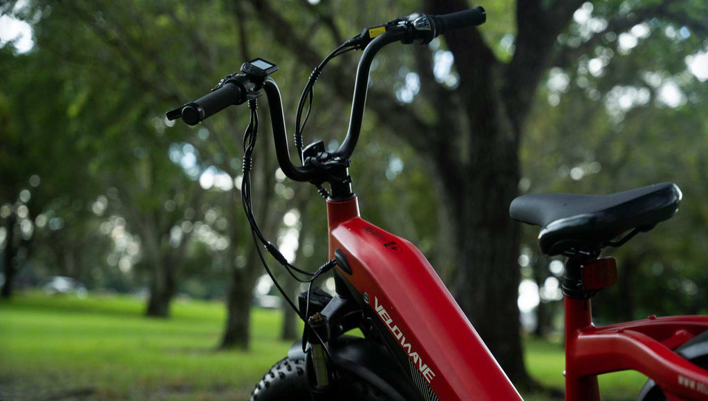 STATE ELECTRIC BIKE LAWS AND REGULATIONS: STATE BY STATE