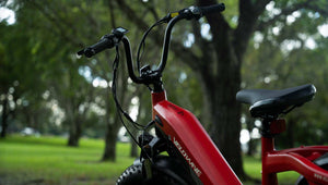 STATE ELECTRIC BIKE LAWS AND REGULATIONS: STATE BY STATE