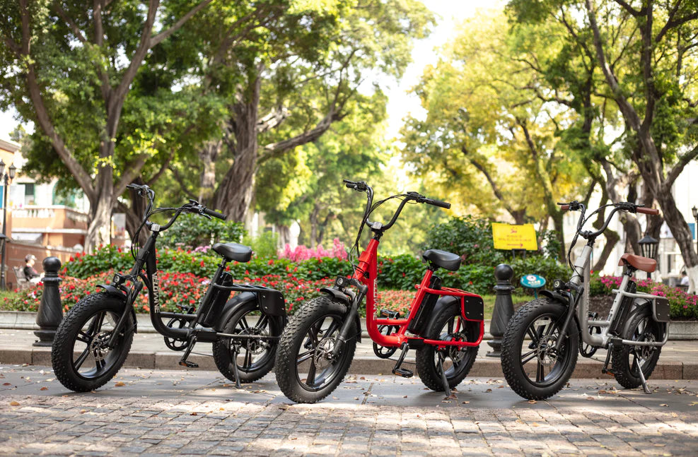 HOW DOES AN ELECTRIC ASSIST BIKE WORK?