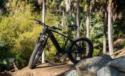 HOW MUCH ARE ELECTRIC BIKES AND WHAT NEED TO CONSIDER WHEN CHOOSE ONE?