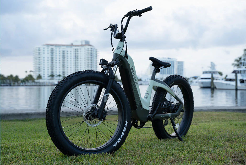 ARE YOU LOOKING FOR AN ELECTRIC BICYCLE WITH BIG TIRES?