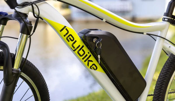 Common Electric Bike Battery Problems and How to Fix Them