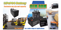 China Manufacturer Custom Large Capacity Fork Lift Lifepo4 Battery 36V 48V 60V Lithium Ion Forklift Traction Battery Pack