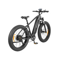 Off-Road Fat Tire Electric Bike - King 750 E-Bike with LG Battery, 750W Motor, and Hydraulic Disc Brakes for Challenging Terrain and Long-Distance Rides