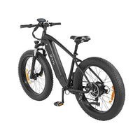 Off-Road Fat Tire Electric Bike - King 750 E-Bike with LG Battery, 750W Motor, and Hydraulic Disc Brakes for Challenging Terrain and Long-Distance Rides