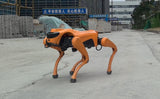 Cyberstars Cyber1 Quadruped Robot – High-Performance Robotic Dog  Smart Robotic Dog for Home & Education  45N·m Torque, 6 Tops AI