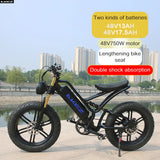 Electric Bike for Adults 750W Motor 48V 13Ah Fat Tire Removable Battery 20'' 45MPH Snowy Mountain Electric Bike