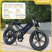 Electric Bike for Adults 750W Motor 48V 13Ah Fat Tire Removable Battery 20'' 45MPH Snowy Mountain Electric Bike