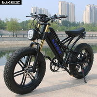 Electric Bike for Adults 750W Motor 48V 13Ah Fat Tire Removable Battery 20'' 45MPH Snowy Mountain Electric Bike