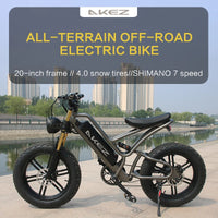 Electric Bike for Adults 750W Motor 48V 13Ah Fat Tire Removable Battery 20'' 45MPH Snowy Mountain Electric Bike