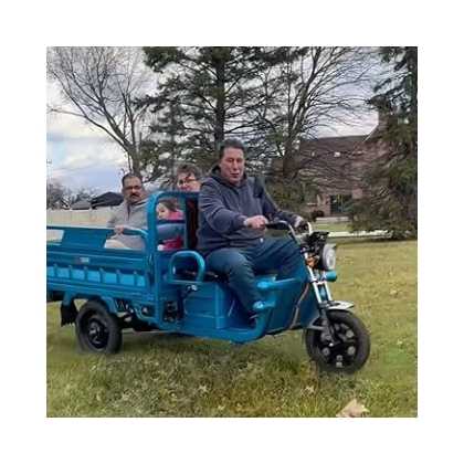 Large Capacity 500W Electric Tricycle Cargo New Design 3-Wheel Vehicle with 60V Voltage Made of Plastic Steel Iron ABS Material