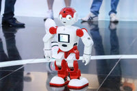 home guard programmable Humanoid Robot Smart home control joyable Robot with SDK